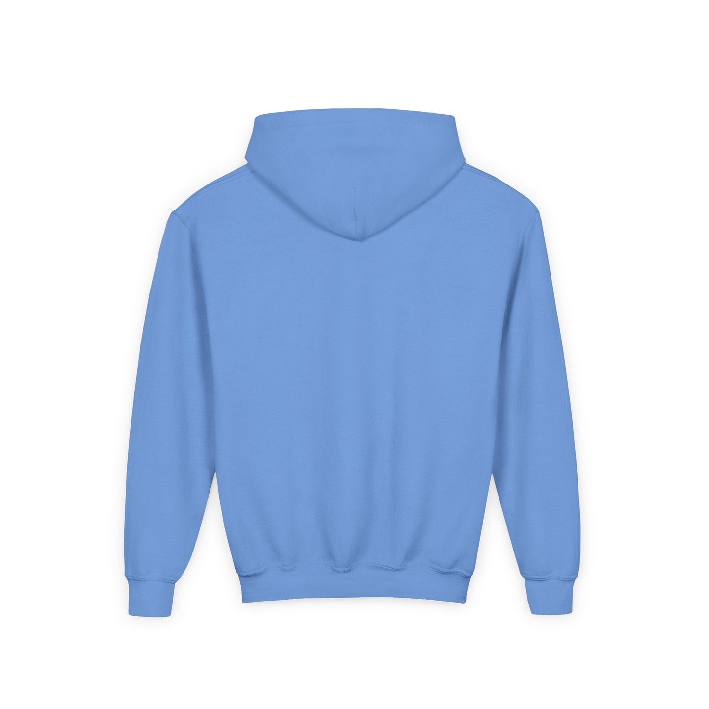 Softball Society 101 Youth Hoodie
