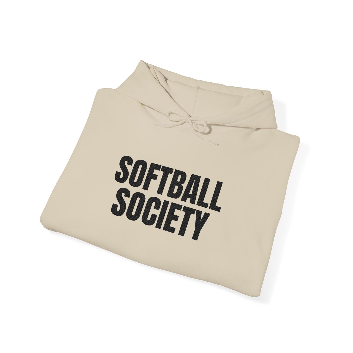 Softball Society 101 Adult Hoodie