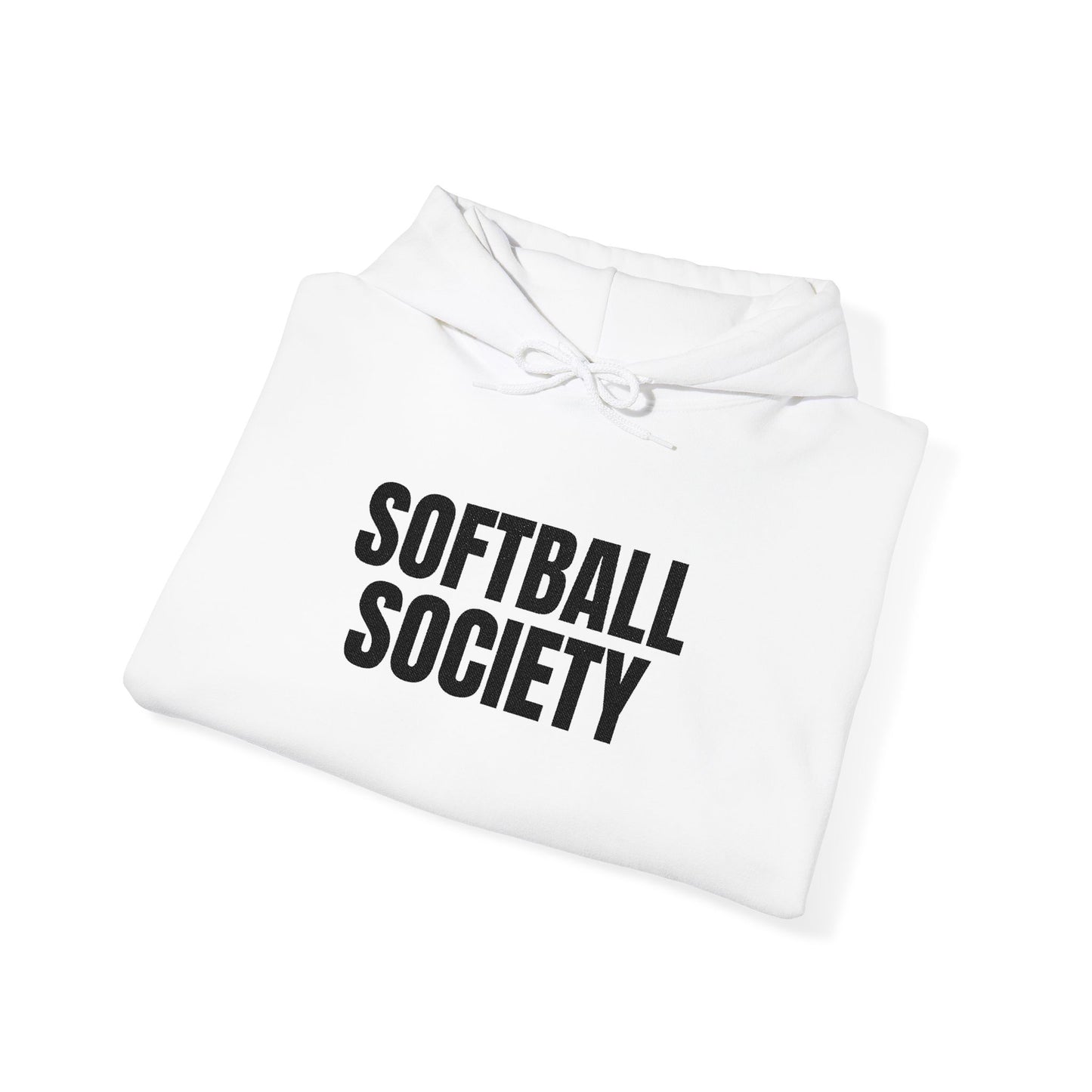 Softball Society 101 Adult Hoodie