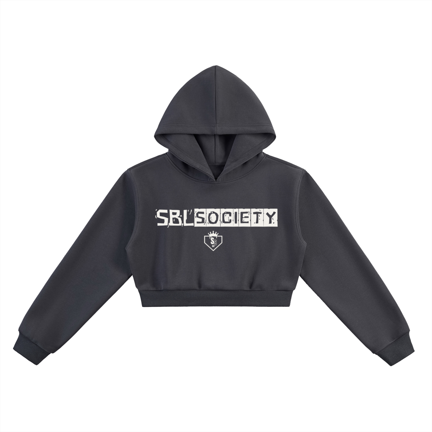 Softball society 101,Softball society hoodie,Softball hoodie