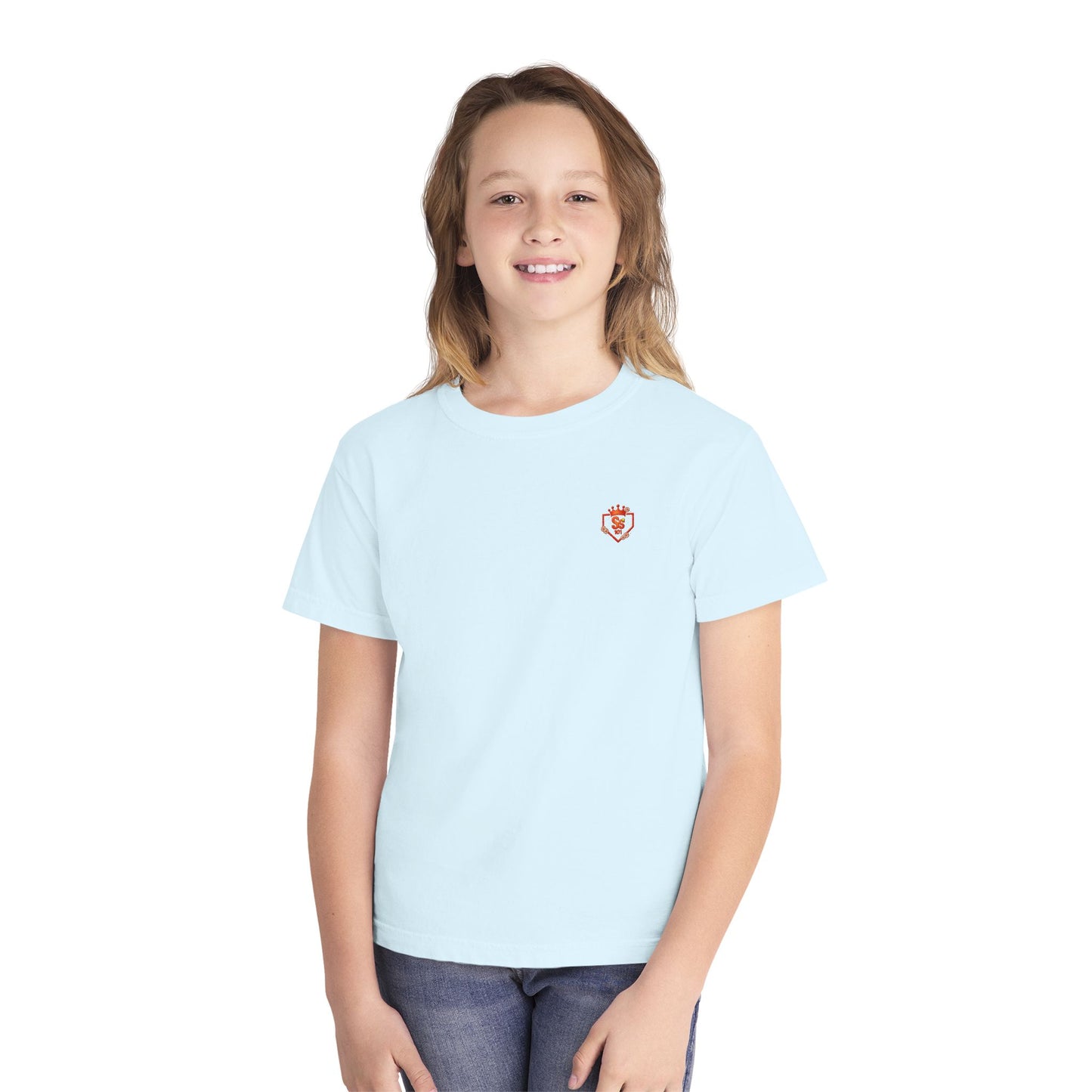 Copy of Youth Tee — "Chasing Sunshine & Fly Balls" Softball Graphic