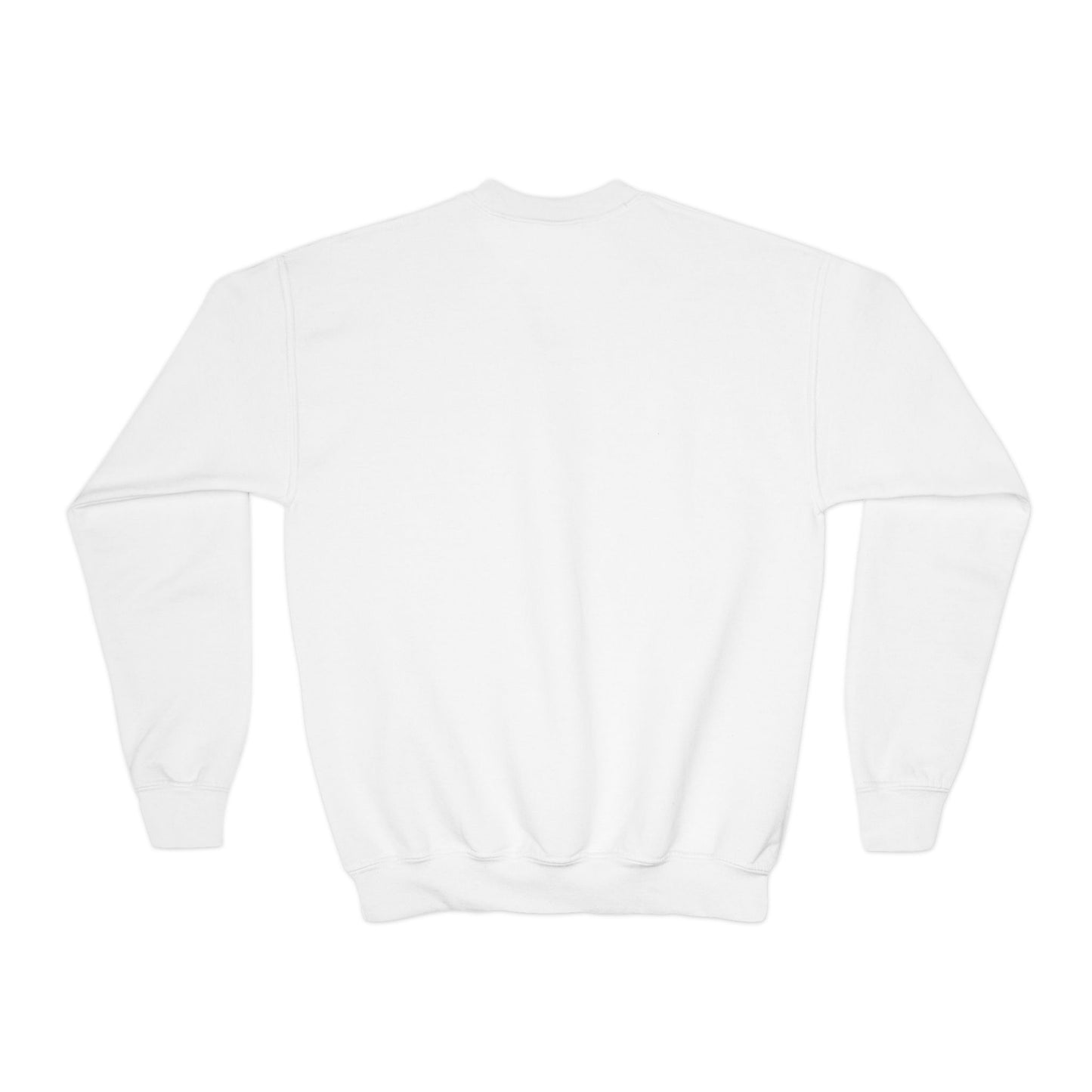 Banner Sweatshirt (Youth)