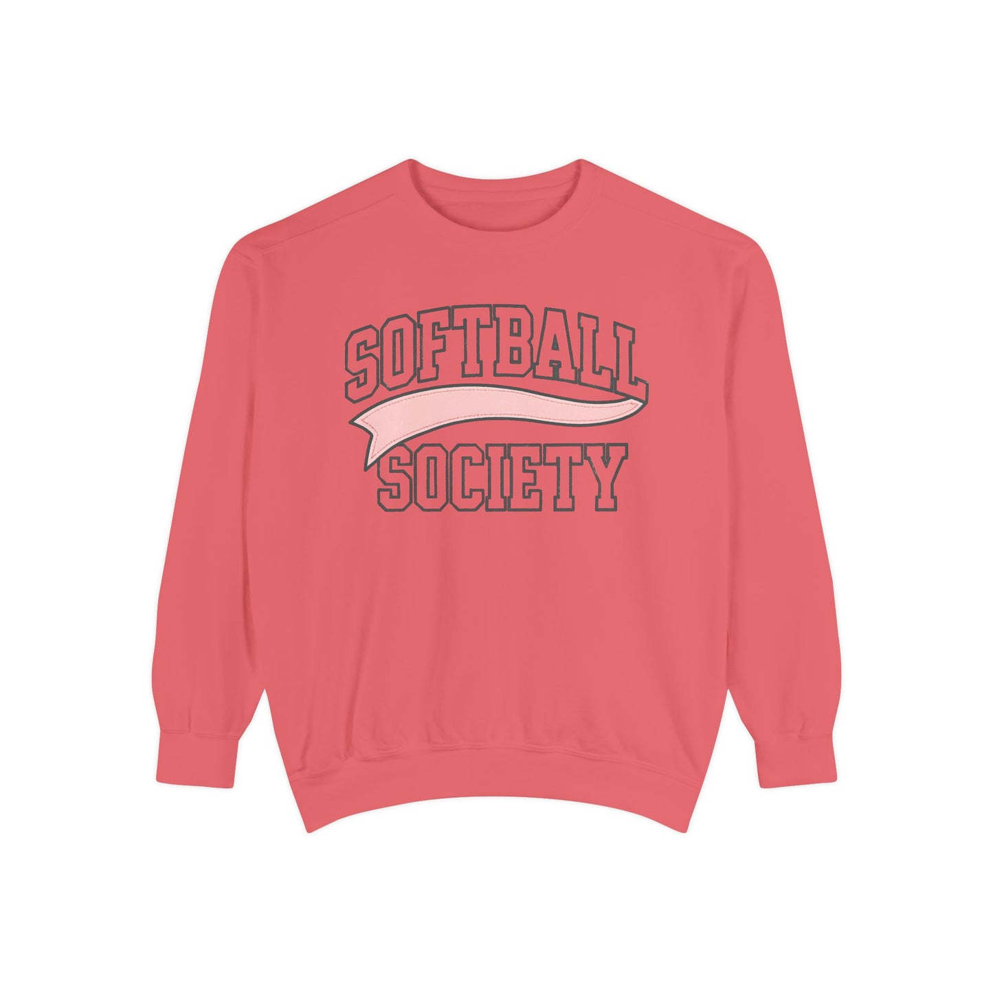 Softball Society 101 Adult Banner Sweatshirt