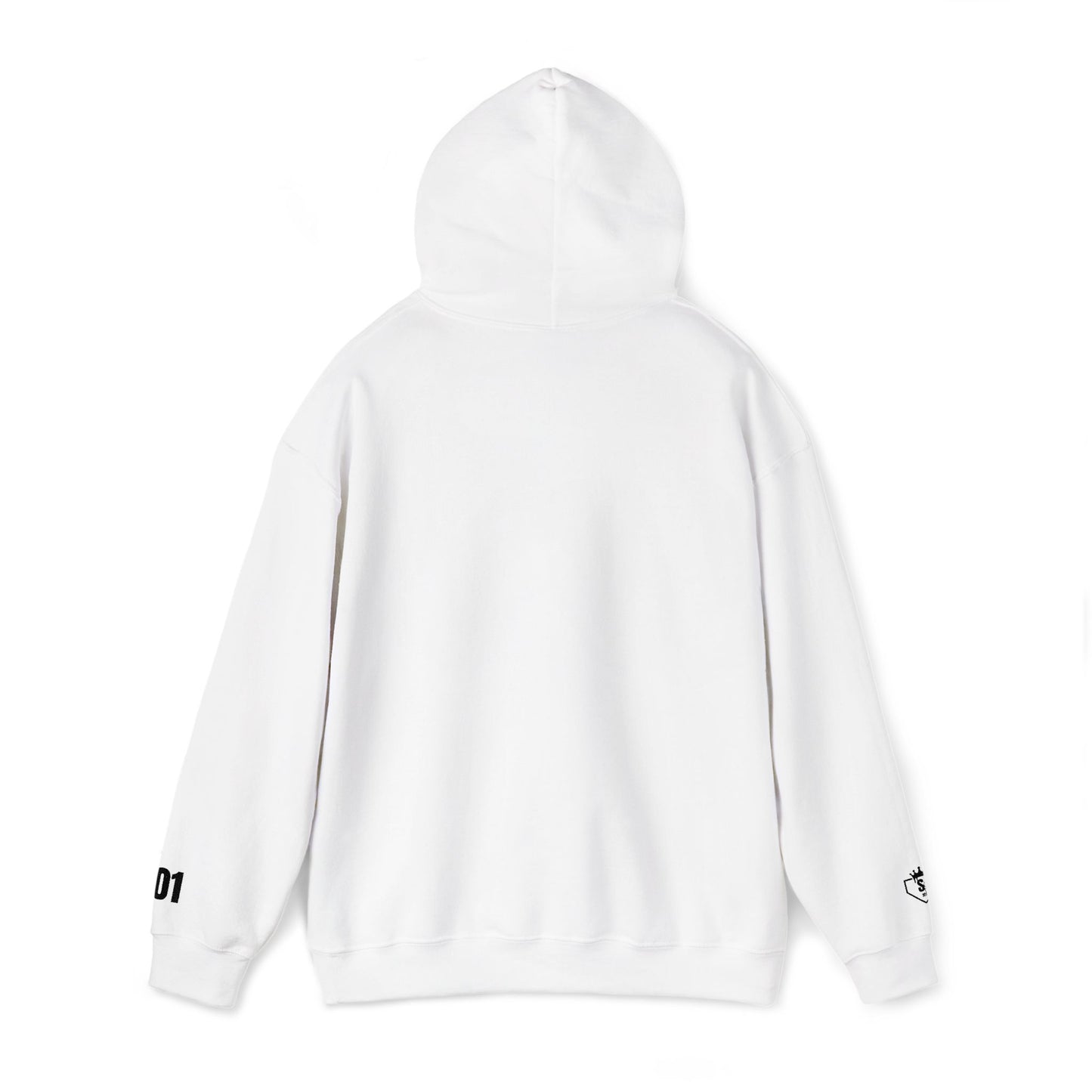 Softball Society 101 Adult Hoodie