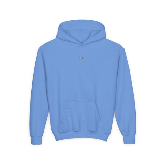 Softball Society 101 Hoodie (Youth)