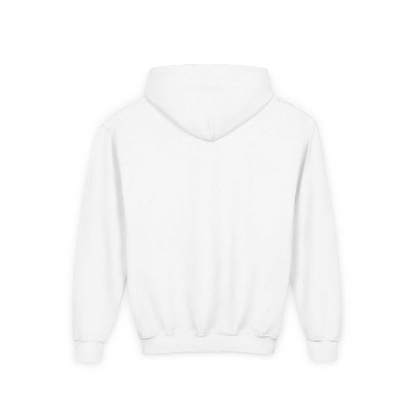 Softball Society 101 Youth Hoodie