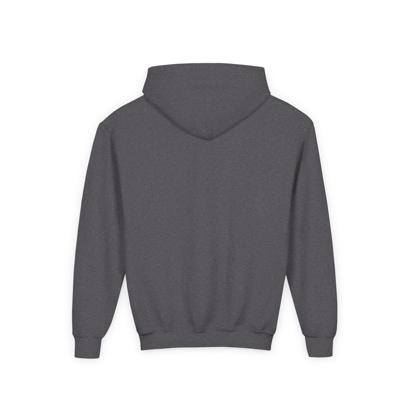 Softball Society 101 Youth Hoodie