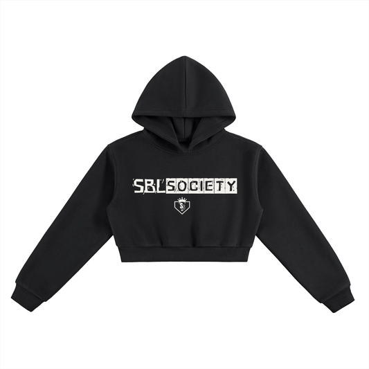 Softball society 101,Softball society hoodie,Softball hoodie